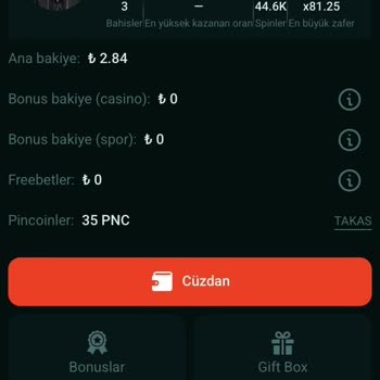 Pinco'da Yatırım Sorunları Ve Gecikmeler