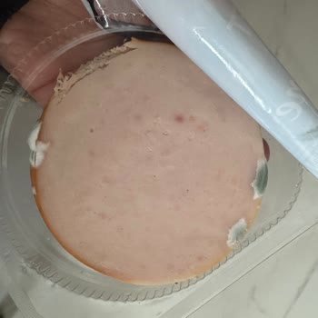 Son Kullanma Tarihi Geçmemiş Ürün Küflendi: Şaşırtıcı Ve Hayal Kırıklığı