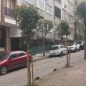 PTT Kargo Teslimat Sorunu Ve Müşteri Hizmetleri Şikayeti