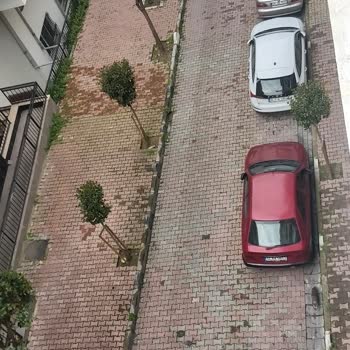 PTT Kargo Teslimat Sorunu Ve Müşteri Hizmetleri Şikayeti