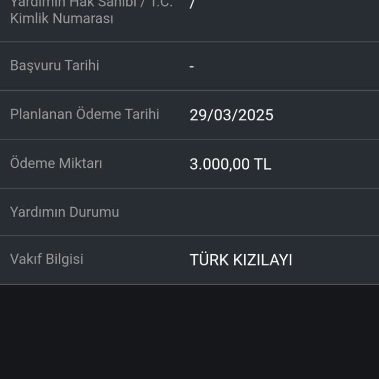 Türk Kızılay Destek Ödemesi E-Devlet'te Var Bankada Yok: Acil Çözüm Bekliyorum!