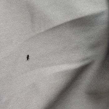 Bayram Öncesi Sipariş Hüsranı