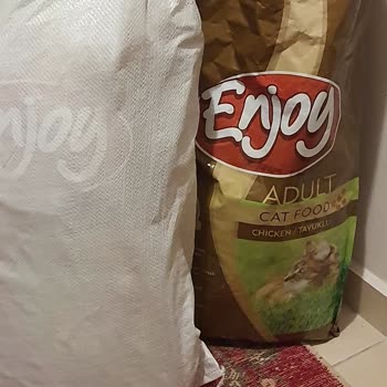 Küflü Kedi Maması Şikayeti Ve Ücret İadesi Talebi