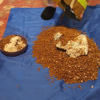 Küflü Kedi Maması Şikayeti Ve Ücret İadesi Talebi