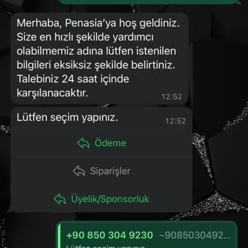 Penasia'nın İade Sürecinde Yaşanan Sorunlar