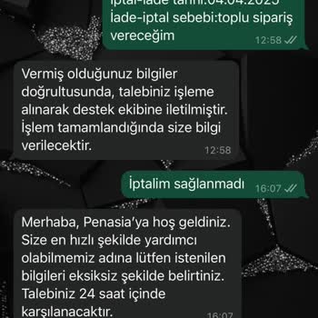 Penasia'nın İade Sürecinde Yaşanan Sorunlar