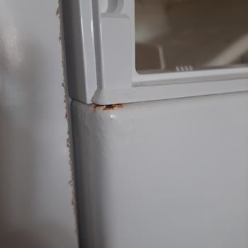 Bosch Çamaşır Makinesinde Erken Paslanma Sorunu