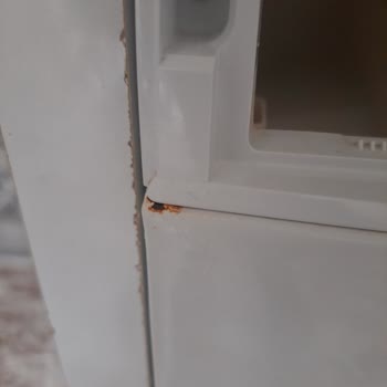 Bosch Çamaşır Makinesinde Erken Paslanma Sorunu