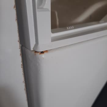 Bosch Çamaşır Makinesinde Erken Paslanma Sorunu