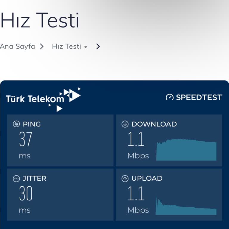 Hız Taahhüdü Yerine Hayal Kırıklığı: İnternet Ve Hizmet Eksikliği