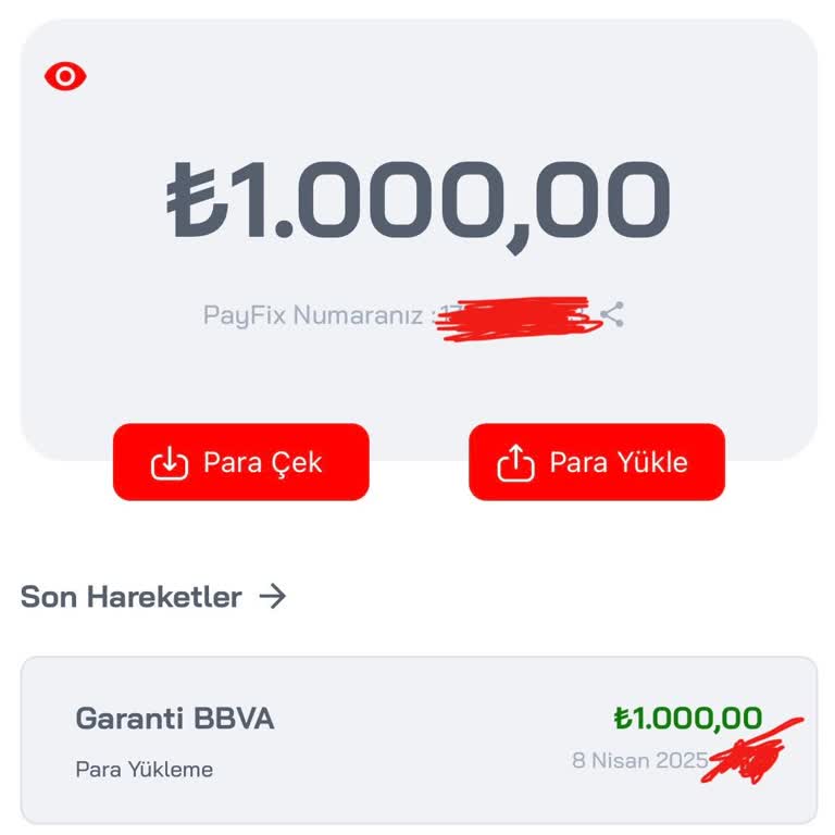 Payfix Hesabında Para Transferi Sorunu