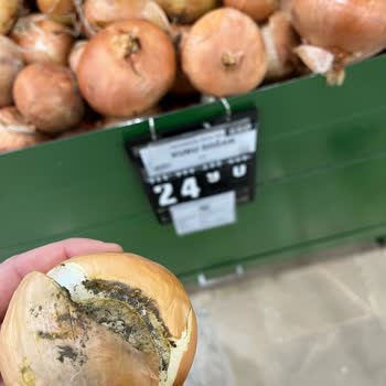 Sancaktepe File Market'te Çürük Soğan Sorunu