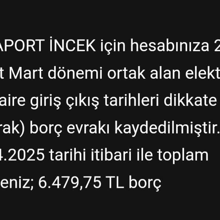 Yönetim Sorunları Ve Ekstra Masraflar