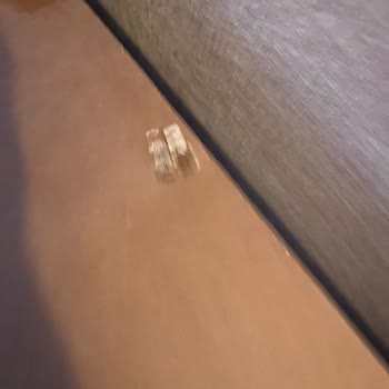 Samsung TV Teslimatında Aparat Ve Hijyen Sorunu