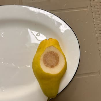 Akdeniz Catering Her Gün Fazla Miktarda Yemekleri Çöpe Dökmek Zorunda Kalıyoruz!