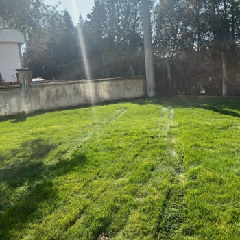 SEDAŞ'ın İzinsiz Girişi Ve Zarar Verdiği Çimler