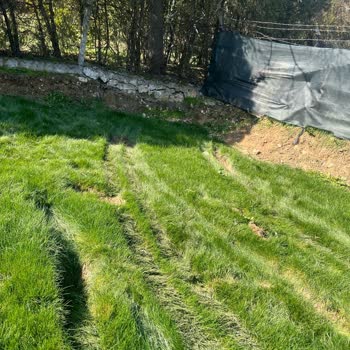 SEDAŞ'ın İzinsiz Girişi Ve Zarar Verdiği Çimler