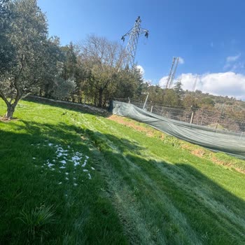 SEDAŞ'ın İzinsiz Girişi Ve Zarar Verdiği Çimler