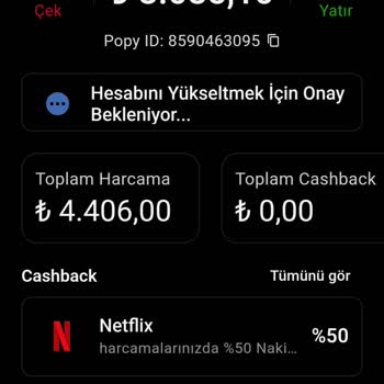 Hesap Doğrulama Sorunu Ve Para Transferi Engeli