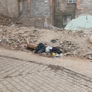 Çevre Ve Şehircilik Bakanlığı Enkaz Kaldırılmadı, Mahalle Çöplüğe Döndü!