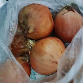 Migros Online Market'te Hayal Kırıklığı: Bozuk Ürünler ve İlgisizlik
