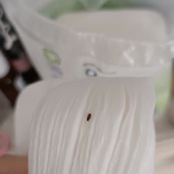 Bebek Ürünlerinde Güven Sarsan Böcek Şoku