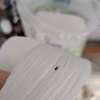 Bebek Ürünlerinde Güven Sarsan Böcek Şoku