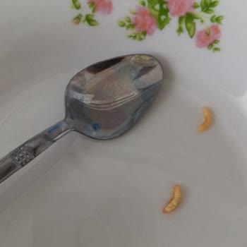 Tereyağında Kurt Şoku: BİM Alışverişinde Hayal Kırıklığı