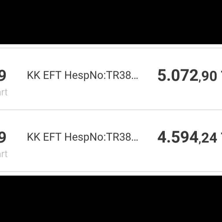 Sahte İndirimle Gelen Büyük Hayal Kırıklığı: Sokak Canları İçin Verilen Sipariş Ve Kaybolan Binlerce Lira