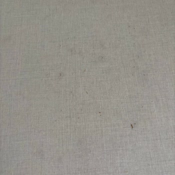 Bellona'nın Garanti İlgisizliği Ve Müşteri Mağduriyeti