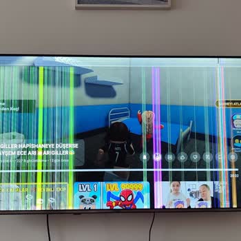 Vestel TV'de Garanti Süresi İçinde Yüksek Onarım Bedeli Ve Yetersiz Servis Deneyimi