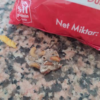 A101 Küflenmiş Makarna Parçası: Sağlığımız Tehlikede Mi?