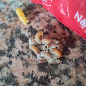 A101 Küflenmiş Makarna Parçası: Sağlığımız Tehlikede Mi?