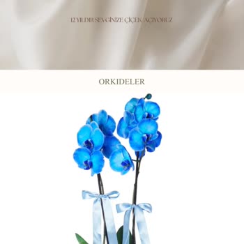 Çiçek Gönderilmedi Ücret İadesi Yapılmadı