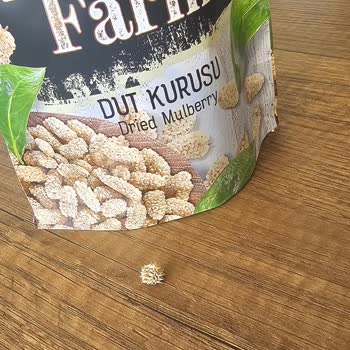 Paketin İçinden Çıkan Dikenli Ot Şoku