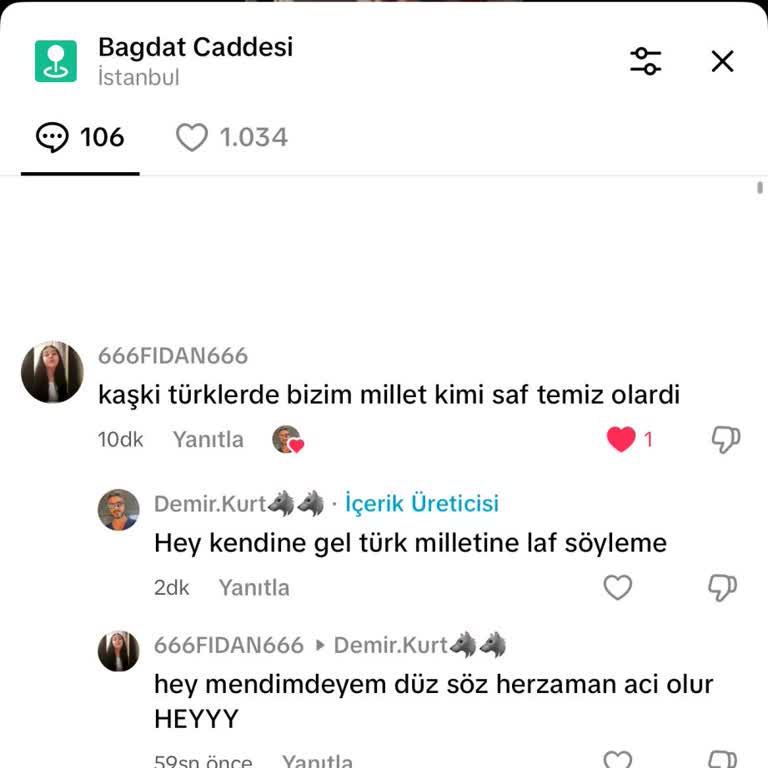 Türklüğe Saygısızlık Yapan Kullanıcı