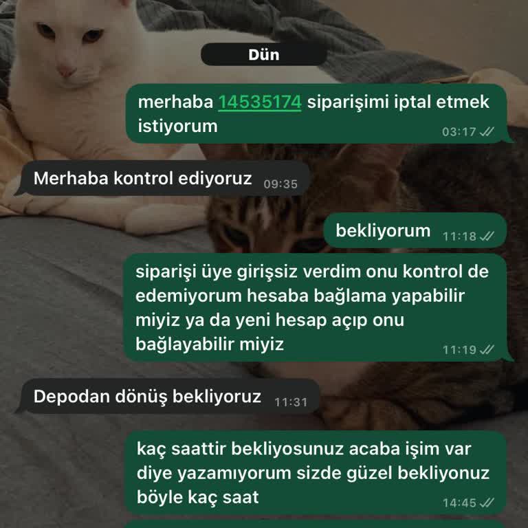 İlgisizlik Ve Bilgilendirme Eksikliği Mağduriyeti