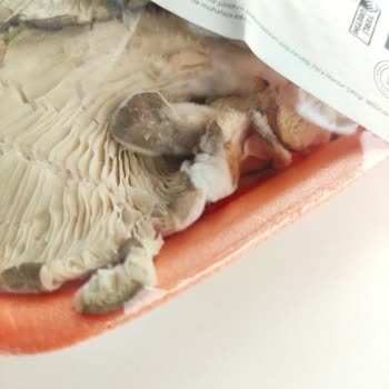 Migros Tarihi Geçmemiş Üründe Küf Problemi