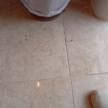 Hayal Kırıklığı Yaratan Mısır Turu Deneyimi