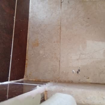 Hayal Kırıklığı Yaratan Mısır Turu Deneyimi