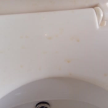 Hayal Kırıklığı Yaratan Mısır Turu Deneyimi