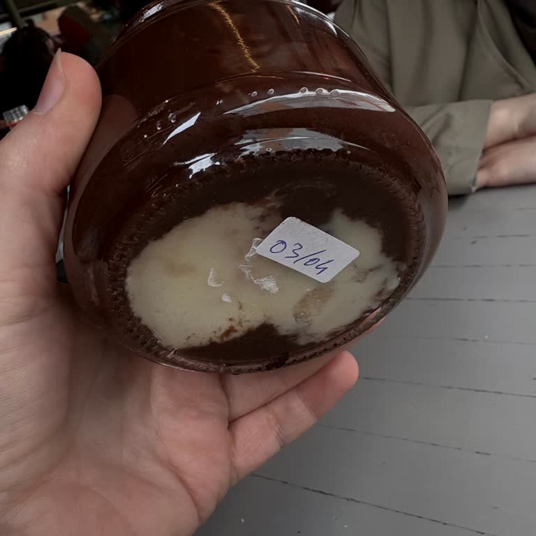 Mona The Coffee Expert Tarihi Geçmiş Ürün