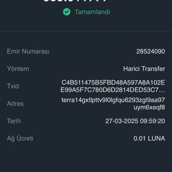 Bitexen'de Kayıp Transfer: 10 Günlük Bekleyiş