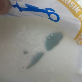 Son Kullanma Tarihli Ürünlerde Küf Sorunu