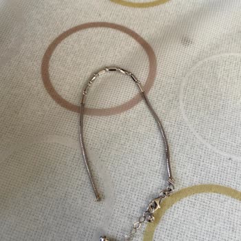 Garantisi Devam Eden Bileklik İçin Yüksek Kargo Ücreti Şoku