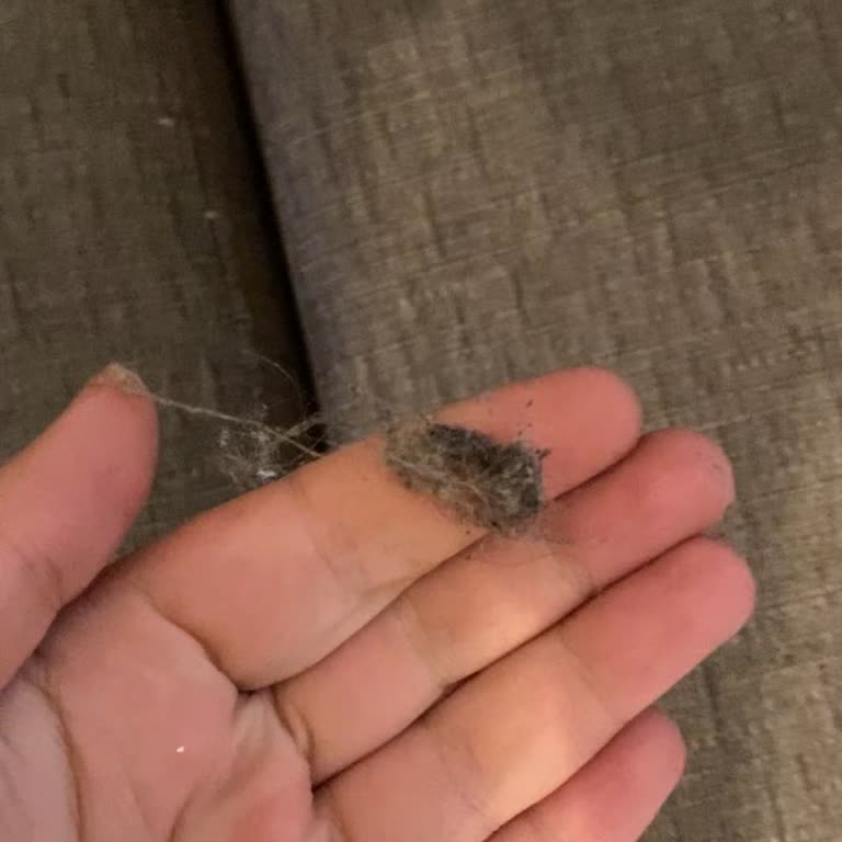 Koltuk Yıkama 34 Temizlik Hizmeti Hayal Kırıklığı!