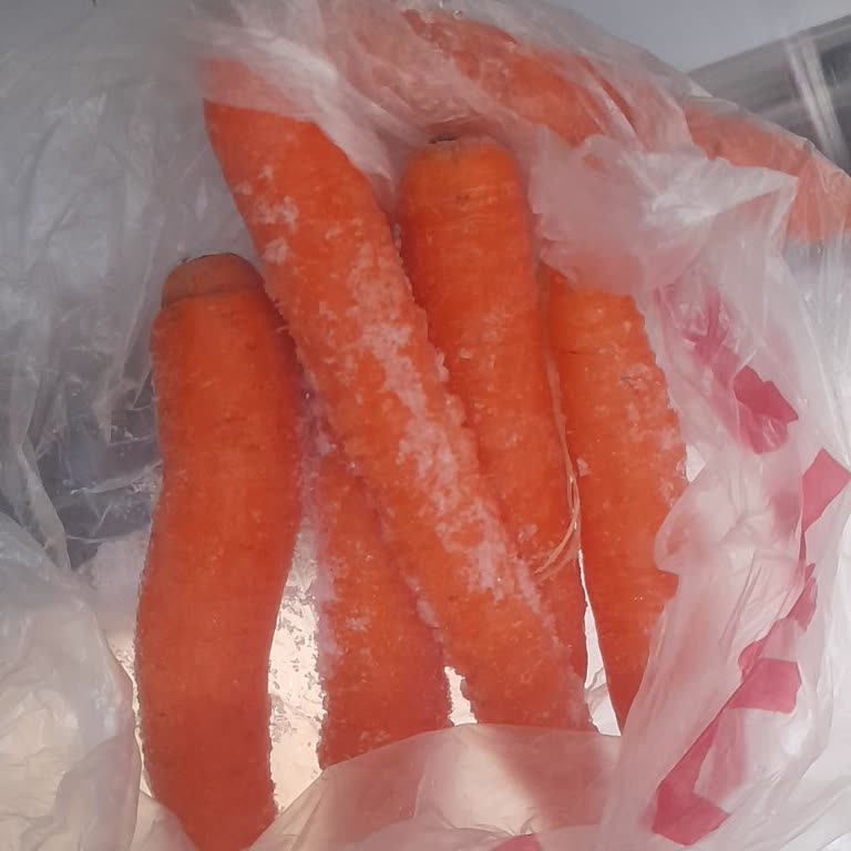 Arçelik Buzdolabında Yaşanan Sorunlar Ve Müşteri Hizmetleri Deneyimi