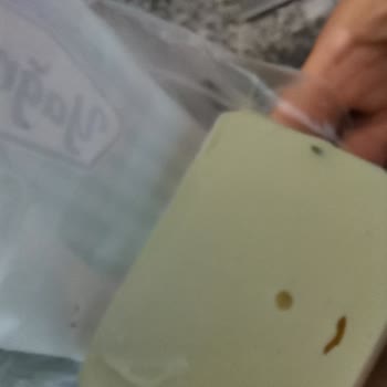 Peynirden Çıkan Metal Parça Tehlikesi