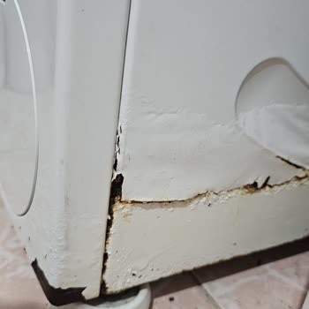 Bosch Çamaşır Makinesi Boya Kalitesi Ve Güven Sorunu