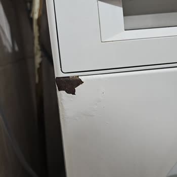 Bosch Çamaşır Makinesi Boya Kalitesi Ve Güven Sorunu